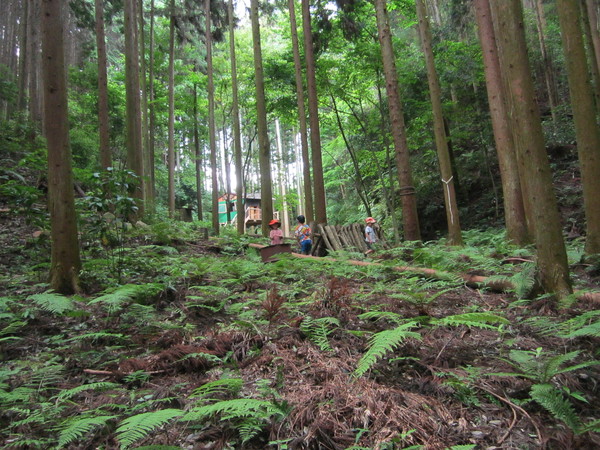 b0132746_21432411.jpg