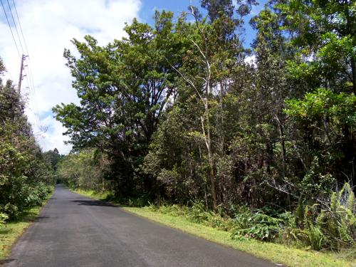 e0129046_17581316.jpg