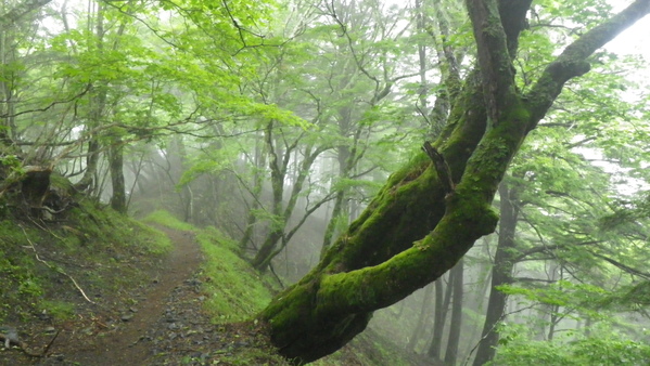 c0042847_15212371.jpg