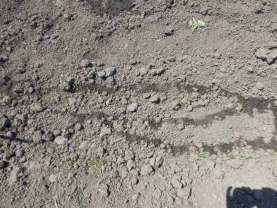 e0004756_20552738.jpg