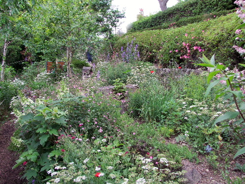 e0088260_20564280.jpg