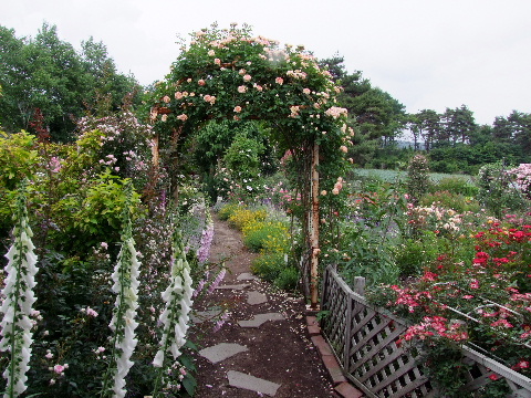 e0088260_2111917.jpg