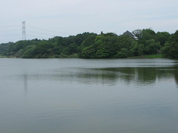 a0052762_6142712.jpg