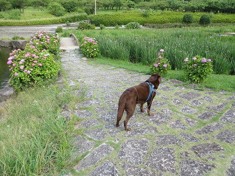 d0120665_2224496.jpg