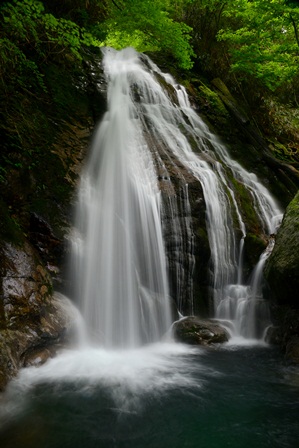 c0303868_6404289.jpg