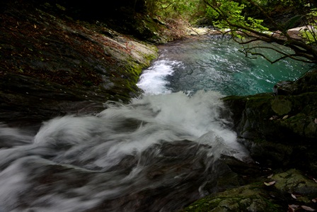 c0303868_6411888.jpg