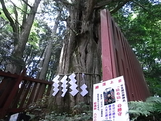a0146070_7273125.jpg