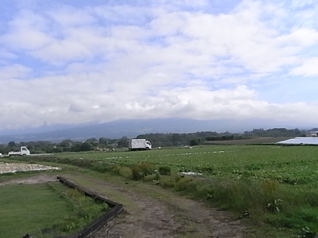 a0146070_731646.jpg