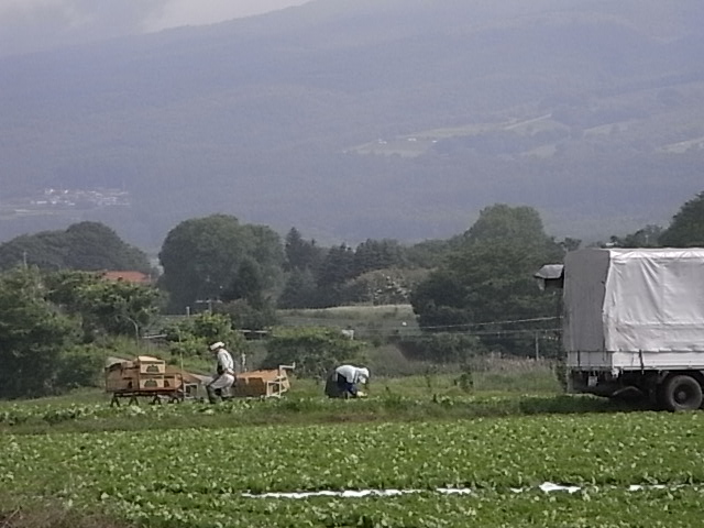 a0146070_7344772.jpg