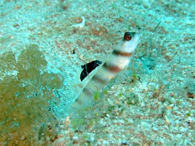b0033573_17292934.jpg