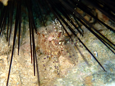 b0033573_17301540.jpg