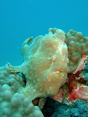 b0033573_17305235.jpg