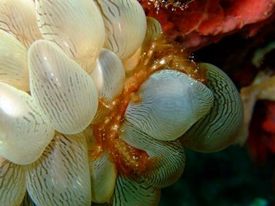b0033573_1734256.jpg