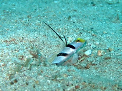 b0033573_1739452.jpg