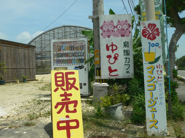 b0042882_1617815.jpg