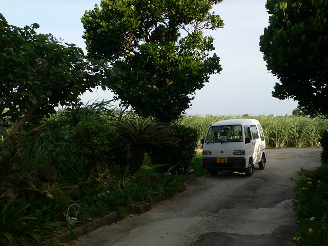 b0042882_17353123.jpg