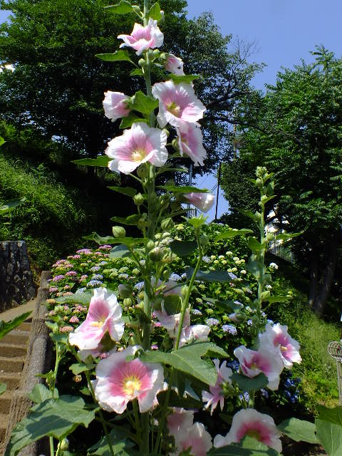 e0145782_15381185.jpg