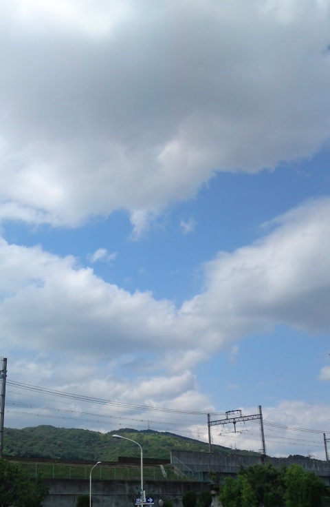 a0165483_16501658.jpg