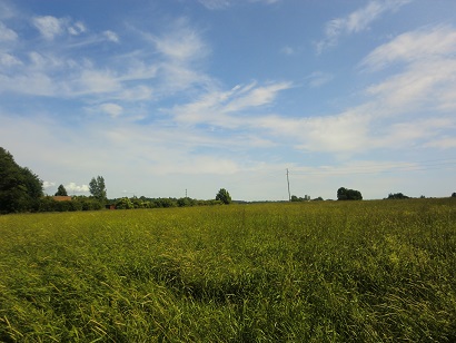 a0066586_521714.jpg