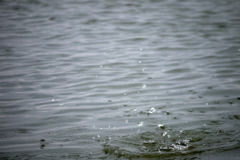 a0127090_2039186.jpg