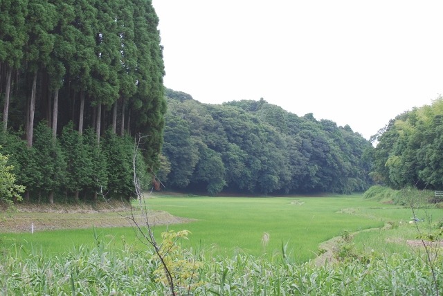 e0025300_19402887.jpg