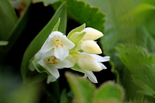 e0137200_21155620.jpg