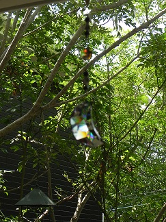 c0152002_9481418.jpg