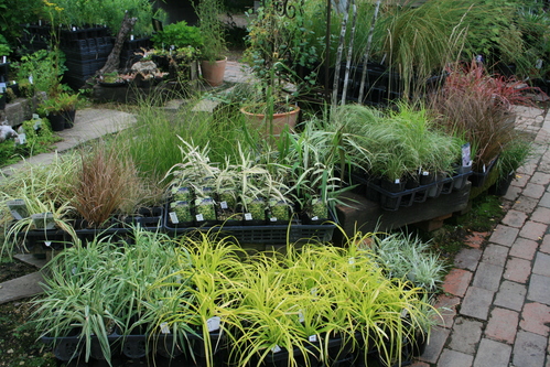 a0139007_1614471.jpg