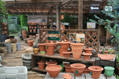 a0139007_166546.jpg