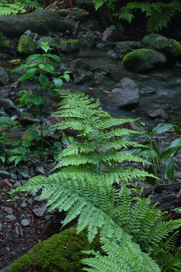 f0221510_235209.jpg