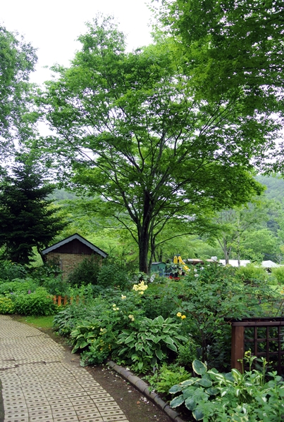d0179113_1172623.jpg