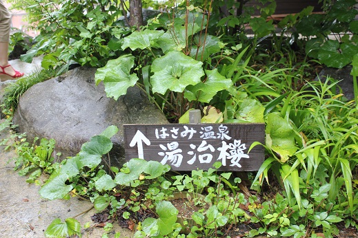 e0101917_20301668.jpg