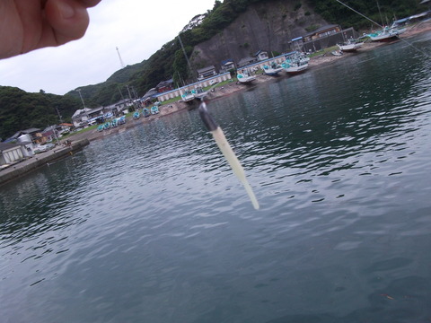 a0279321_1554580.jpg