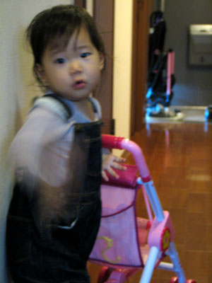 b0080027_7355566.jpg