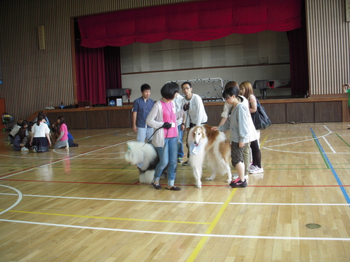 c0114833_10575182.jpg