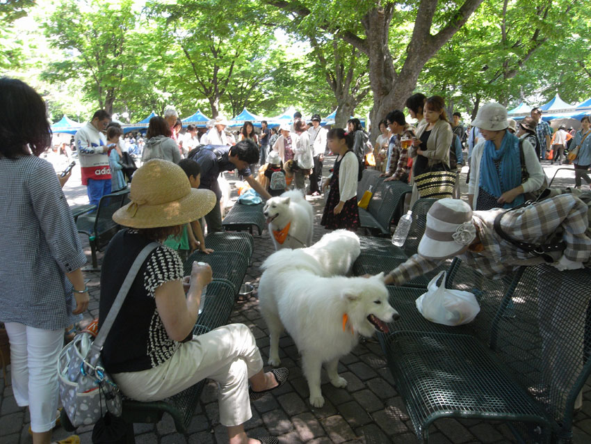 d0069235_10415482.jpg
