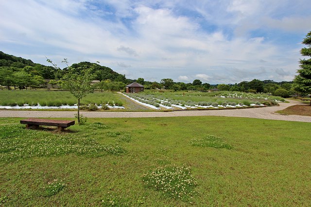 a0242438_1945313.jpg