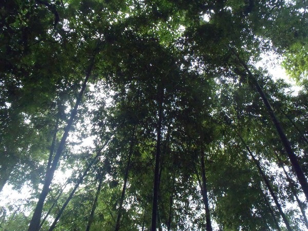 a0054240_21273146.jpg
