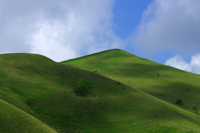 d0186245_12552569.jpg