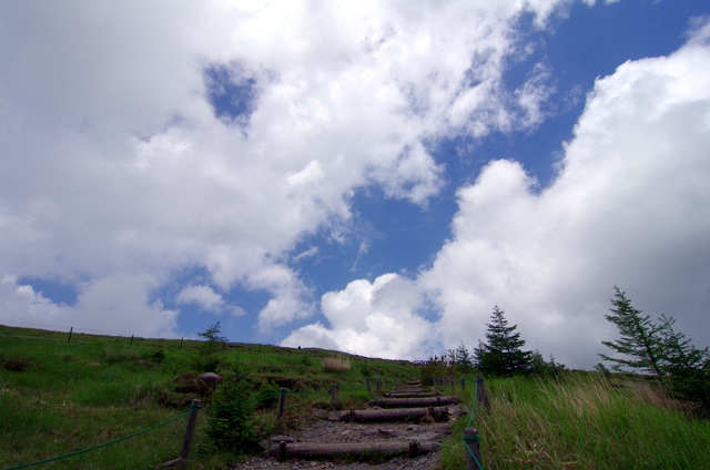 d0186245_1259192.jpg
