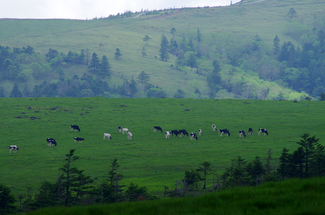 d0186245_12594339.jpg