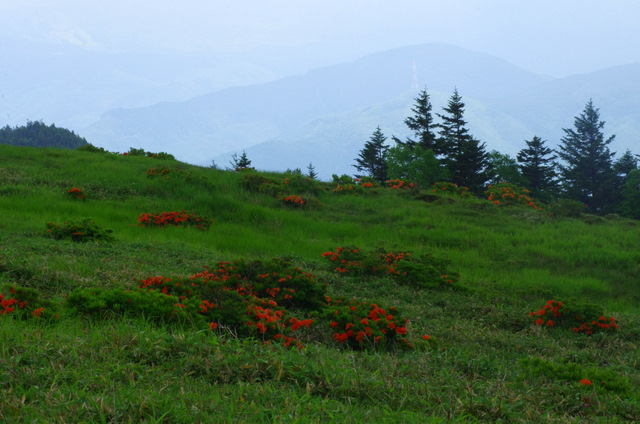 d0186245_1301719.jpg
