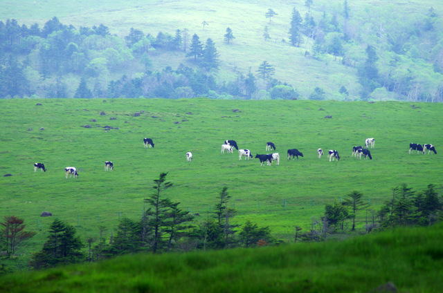 d0186245_1381416.jpg