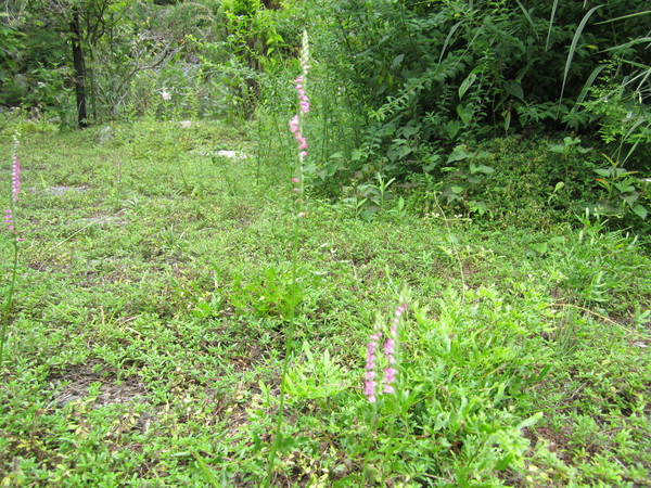 b0132746_21302457.jpg