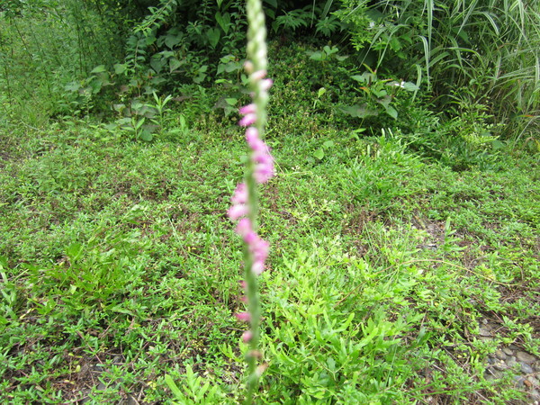 b0132746_2130246.jpg
