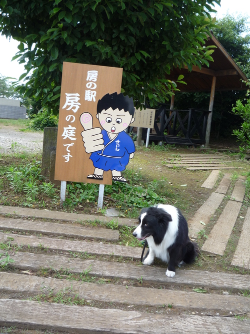 a0157156_2320100.jpg