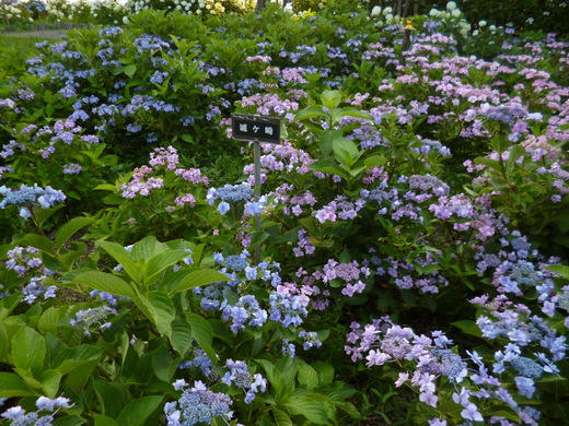 d0231858_7103979.jpg