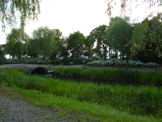 d0231858_784750.jpg