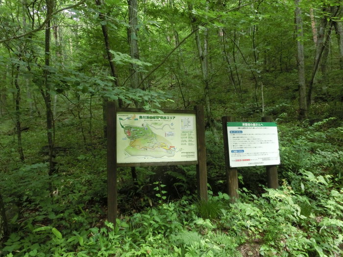 c0140260_21171866.jpg