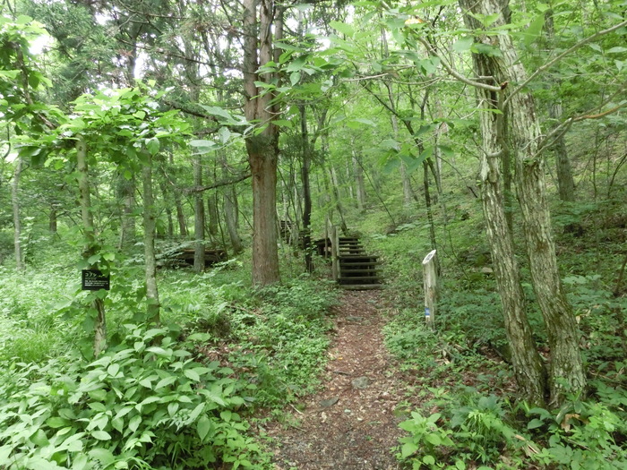c0140260_21174677.jpg